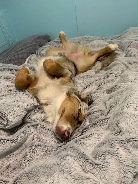 Photo - Rest